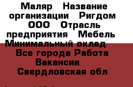 Маляр › Название организации ­ Ригдом, ООО › Отрасль предприятия ­ Мебель › Минимальный оклад ­ 1 - Все города Работа » Вакансии   . Свердловская обл.